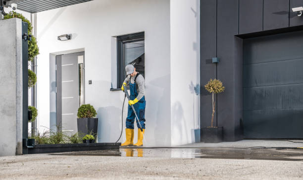 Best Paint Preparation  in Kingstown, MD